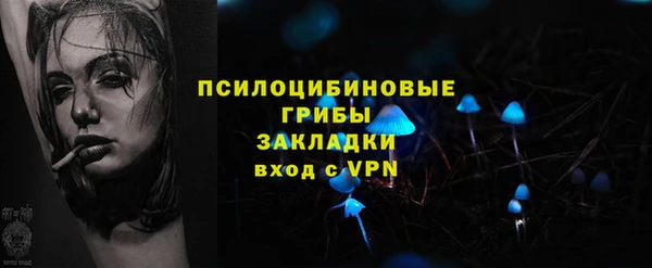гидра Россошь